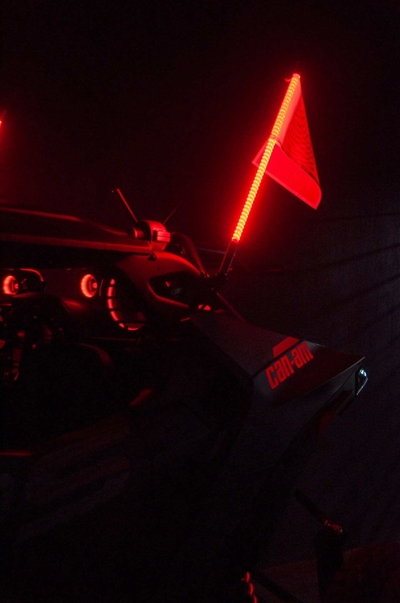 Buggy Whip - Antena LED de 60 cm - GDLGARAGE